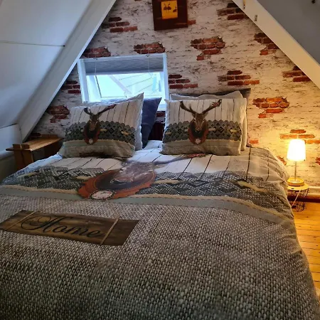 Semesterbostad Belle-swan