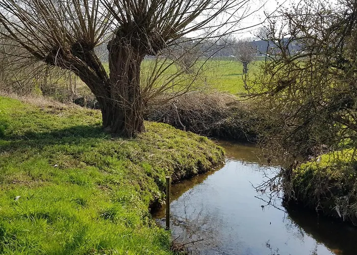 Belle-swan Дом отдыха *