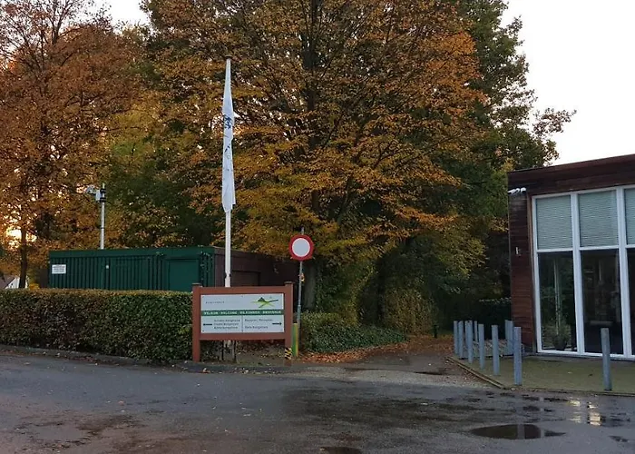 Belle-swan Дом отдыха