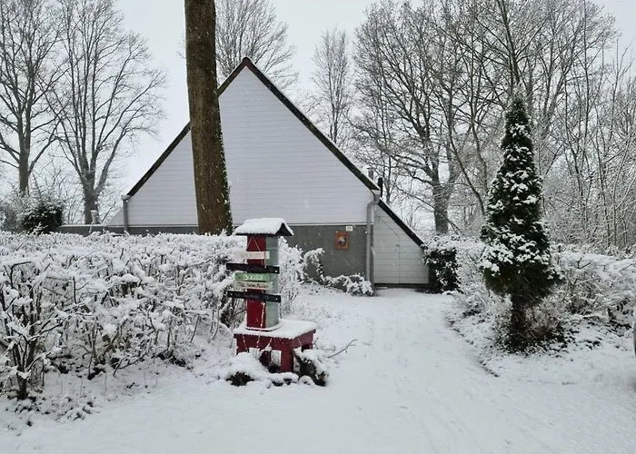 Дом отдыха Belle-swan