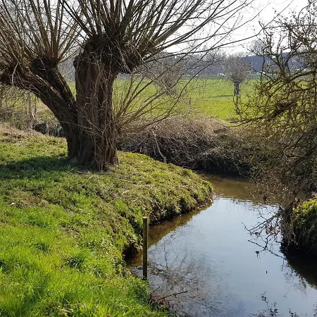 Belle-swan Vakantiehuis *